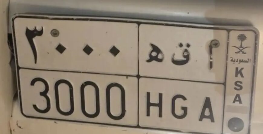 لوحة مميزة و نادرة