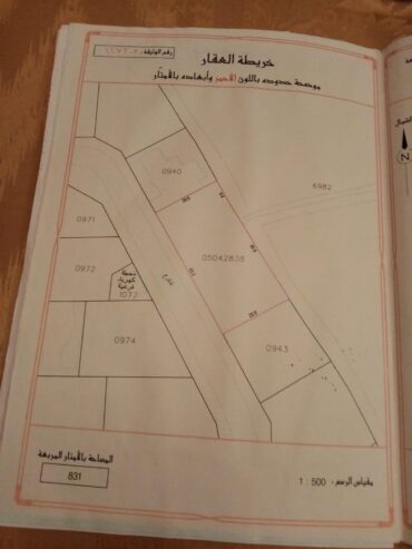 فيلا فاخرة في مقابة