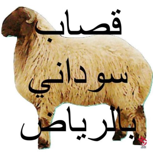 ‏قصاب بالرياض 0559656725 قصابين بالرياض