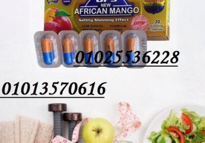 514395706_1203492748459439_5938249777532491946_n