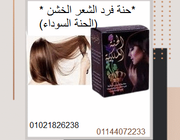 download__2_-removebg-preview
