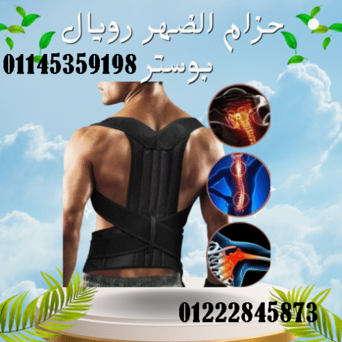 حزام الظهر والعمود الفقري الطبي من رويال بوستر