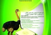 كريم دهن النعام الاصلي للتدليك وعلاج الام المفاصل والروماتزم
