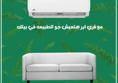 فري-اير-2-3