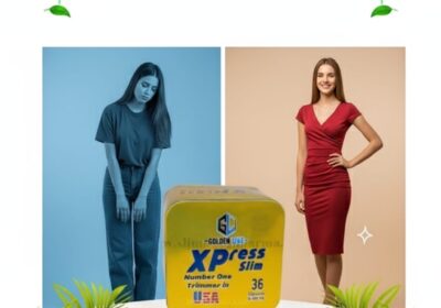 2dd66c64-5595-4466-8c37-e01e0df66965-500×500-6