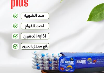 473829843_122173229522261255_6607029027471203641_n