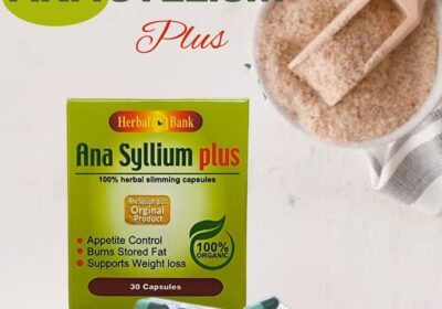 495659500_1142938107852777_8422121732268138226_n