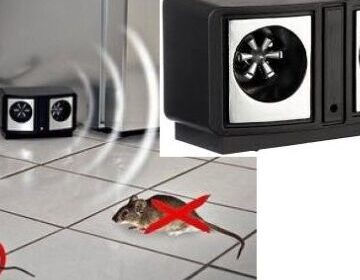 538257283_1304073161728475_1264890780332054624_n-360×316-1