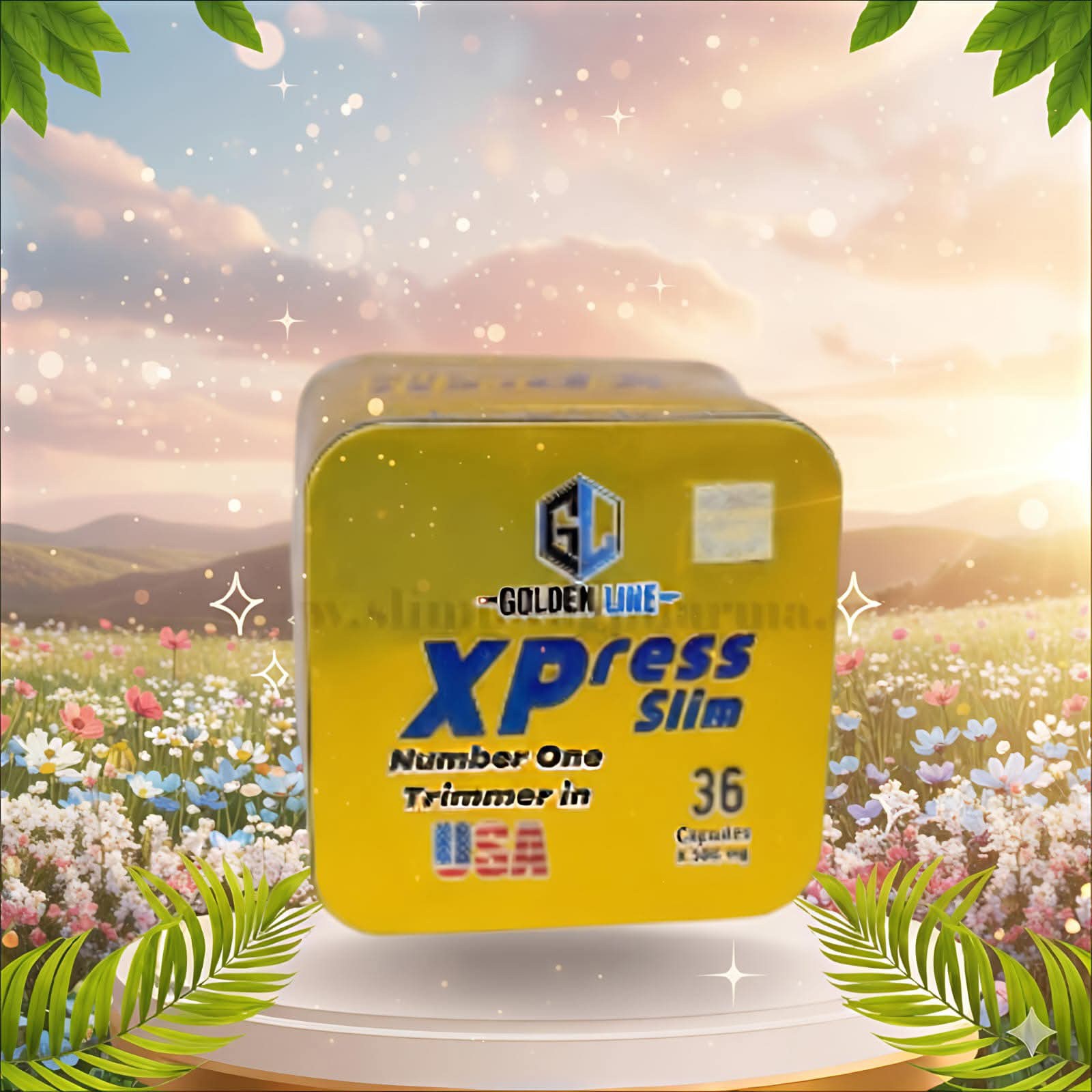 كبسولات xpress للتخسيس والتخلص من الدهون المتراكمة في الجسم